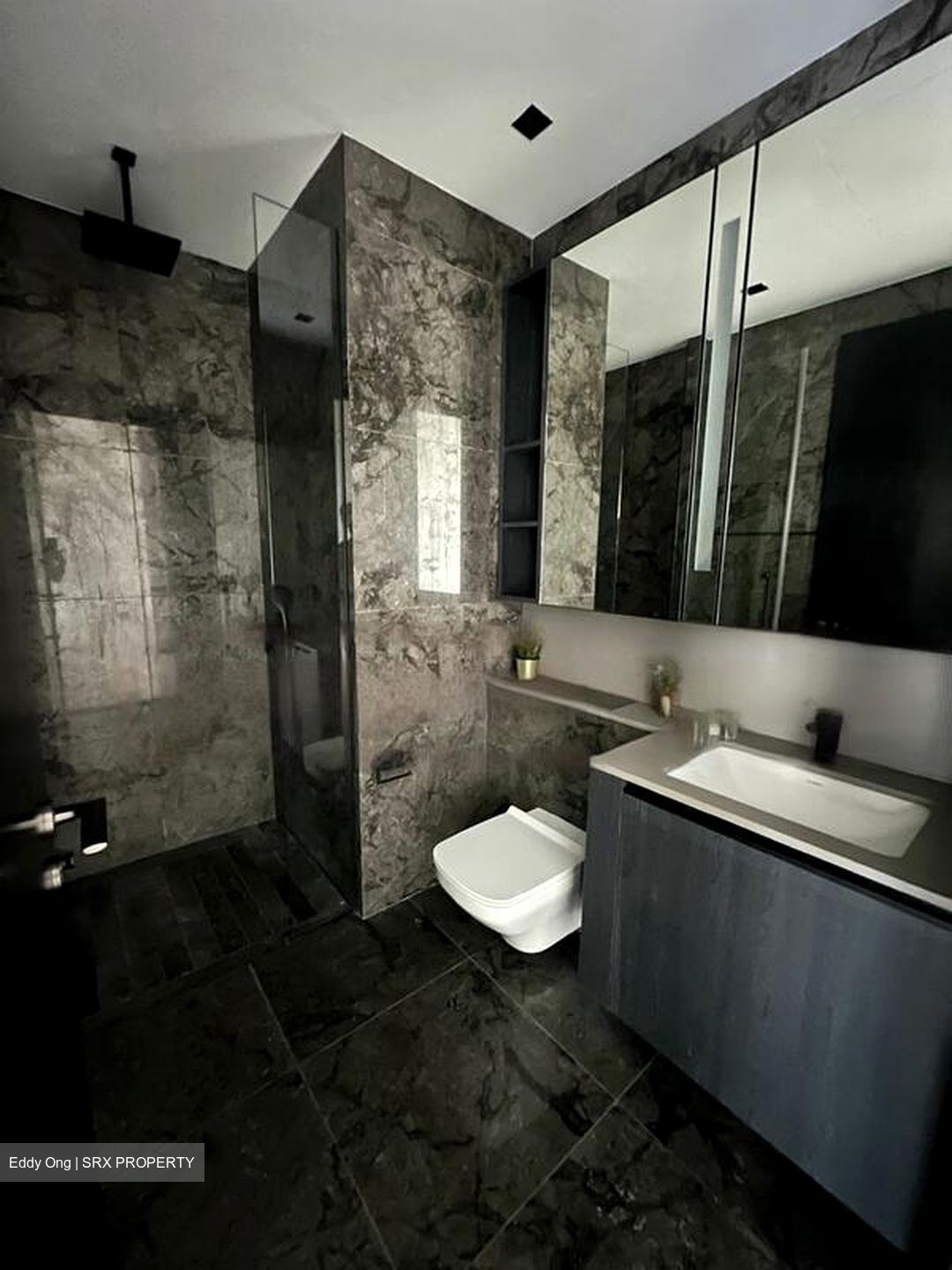3 Cuscaden (D10), Apartment #459576241
